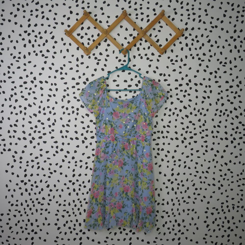 Trixxi Girl Blue Floral Print Chiffon Flutter Sleeve Girls Spring Dress